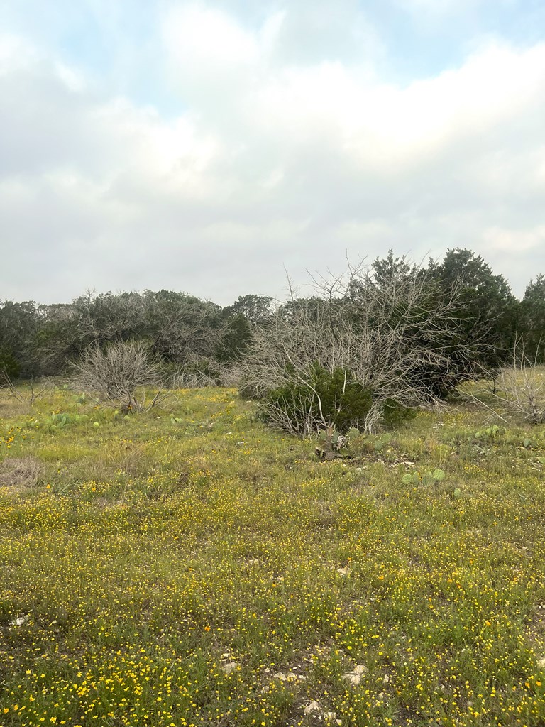 1485 Other Rocksprings, TX 78880 - Photo 11 of 15