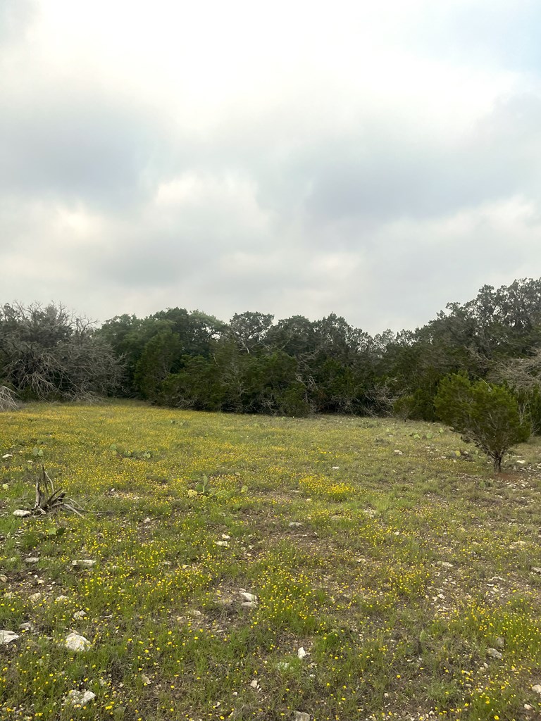 1485 Other Rocksprings, TX 78880 - Photo 12 of 15