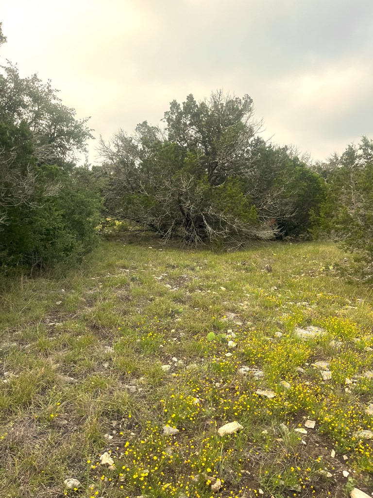 1485 Other Rocksprings, TX 78880 - Photo 13 of 15