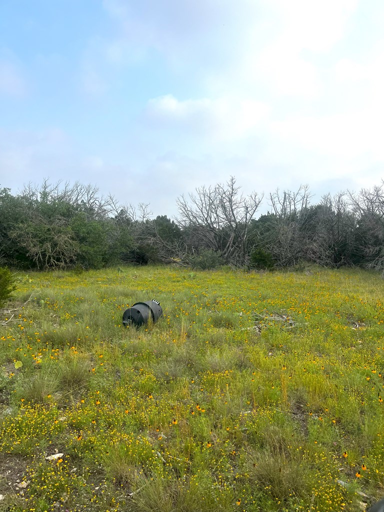 1485 Other Rocksprings, TX 78880 - Photo 15 of 15