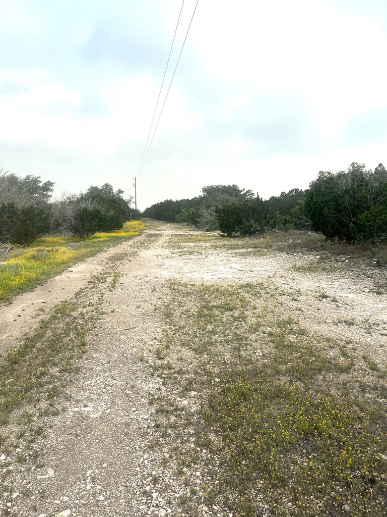 1485 Other Rocksprings, TX 78880 - Photo 4 of 15