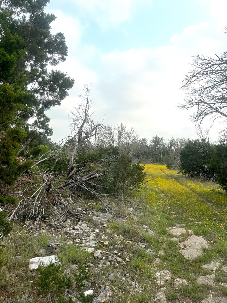 1485 Other Rocksprings, TX 78880 - Photo 10 of 15