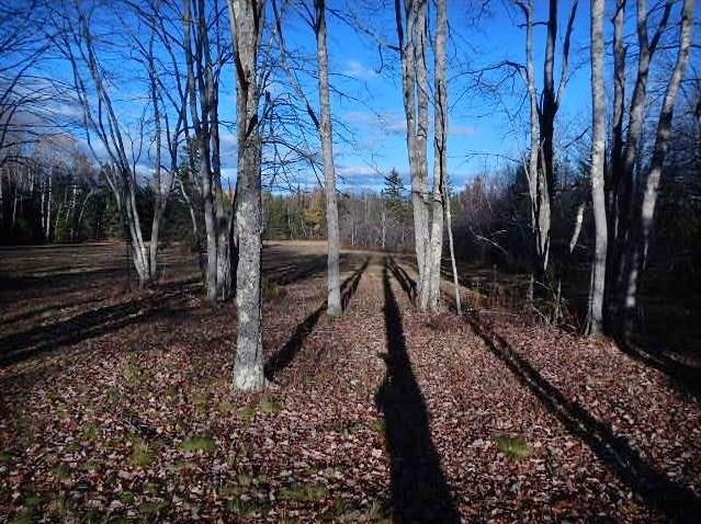 Map 8-lot7 Partridge Cove Road Lamoine, ME 04605 - Photo 5 of 24 5