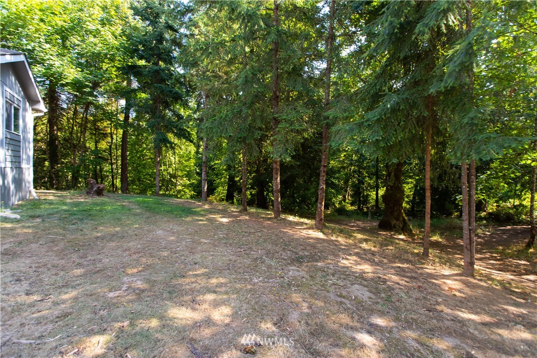 282 Woodard Road, Unit 79 Napavine, WA 98532 - Photo 12 of 29 a view of outdoor space with tree s