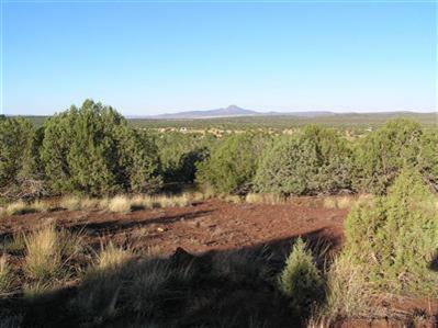 3564 South Hillside Road Williams, AZ 86046 - Photo 1 of 4 Primary Photo