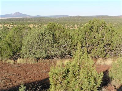 3564 South Hillside Road Williams, AZ 86046 - Photo 2 of 4 Additional Photo