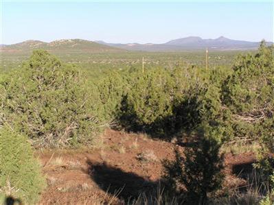 3564 South Hillside Road Williams, AZ 86046 - Photo 3 of 4 Additional Photo