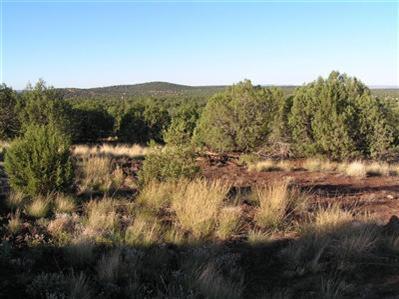 3564 South Hillside Road Williams, AZ 86046 - Photo 4 of 4 Additional Photo