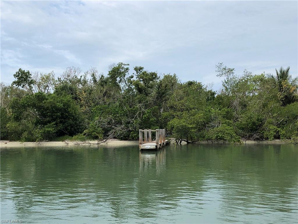 a view of a lake with a city