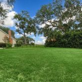 a view of a field of grass and trees