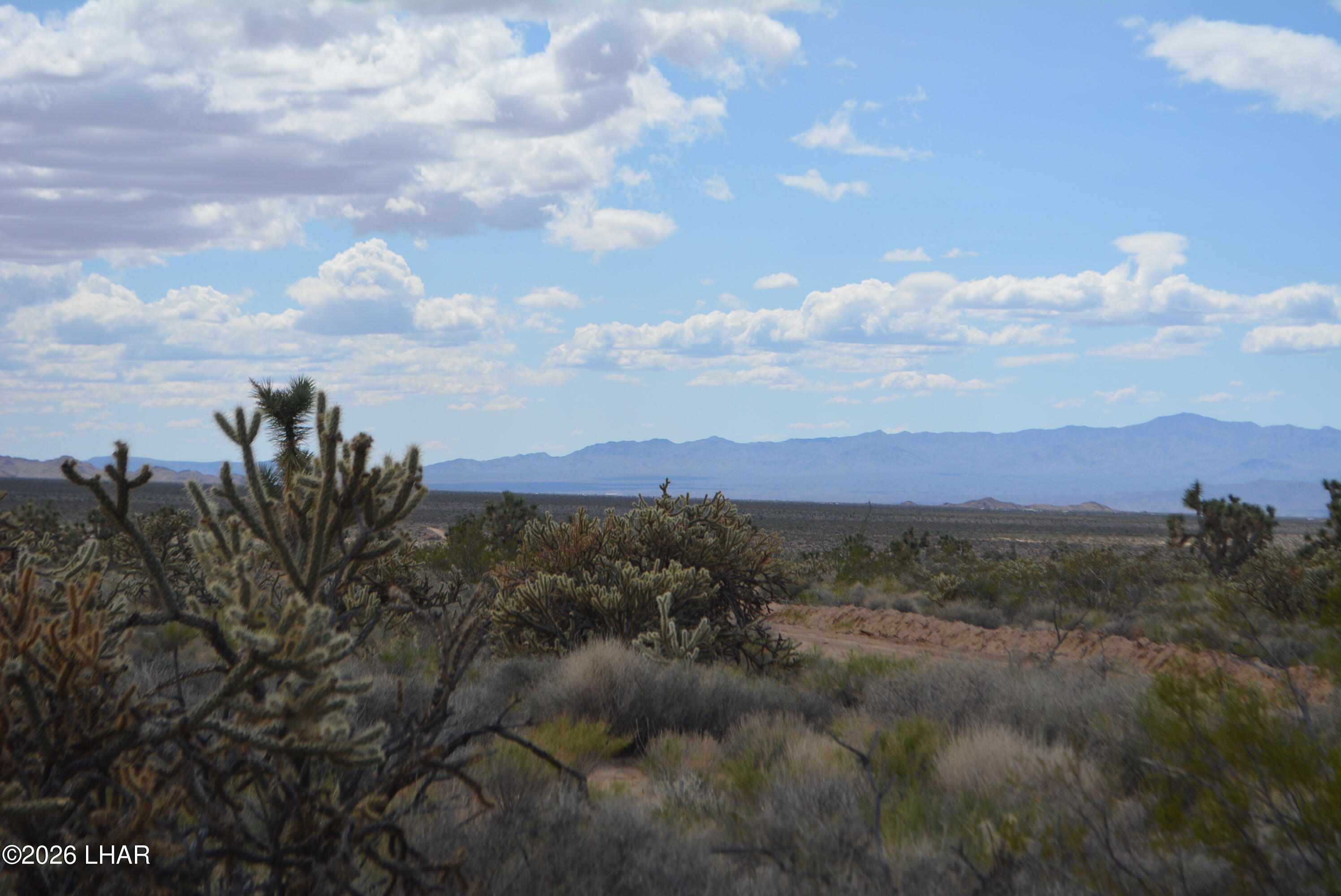 11900 Alan Road Yucca, AZ 86438 - Photo 83 of 93 DSC_1389