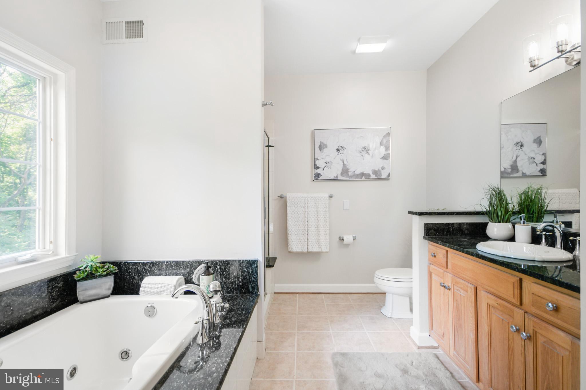 3533 Hopeland Road Frederick, MD 21704 - Photo 27 of 81 Primary bathroom