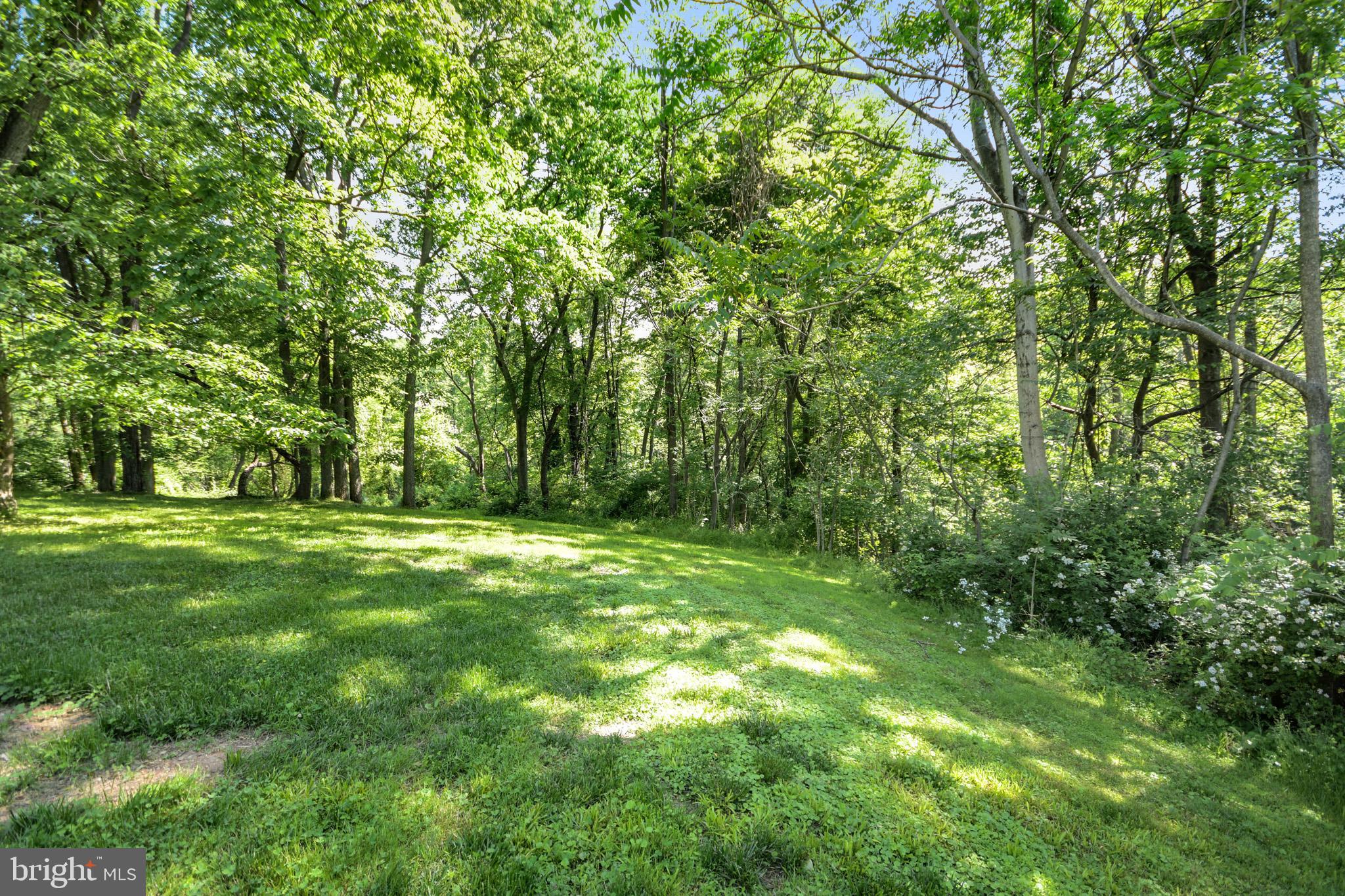 3533 Hopeland Road Frederick, MD 21704 - Photo 69 of 81