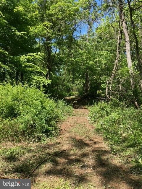 3533 Hopeland Road Frederick, MD 21704 - Photo 78 of 81 Trail to Stream