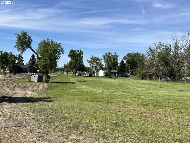 a view of a field with trees