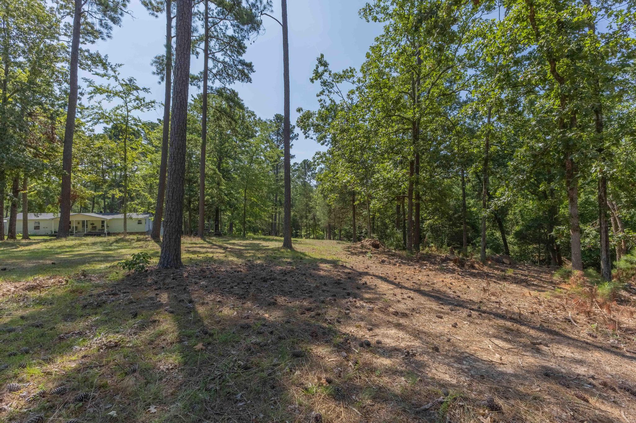 1070 Whitstone Road Lincolnton, GA 30817 - Photo 5 of 19