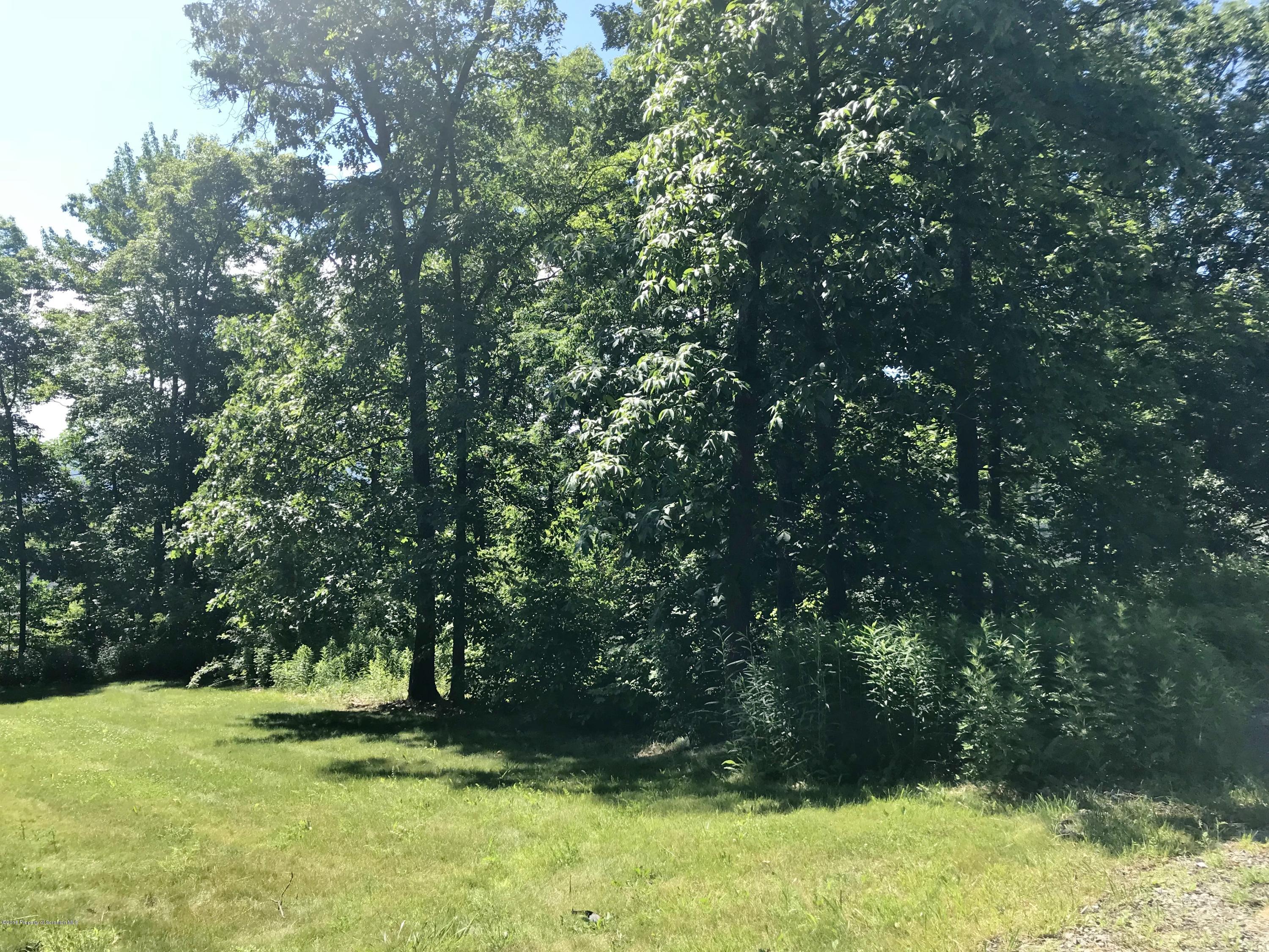 20 Ridgeview Drive Scranton, PA 18504 - Photo 36 of 39 a view of a yard