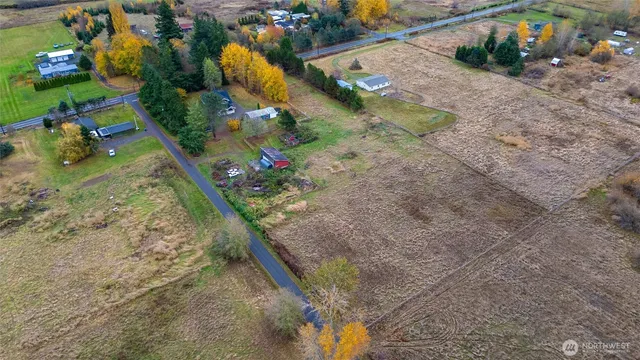 a view of a yard with plants