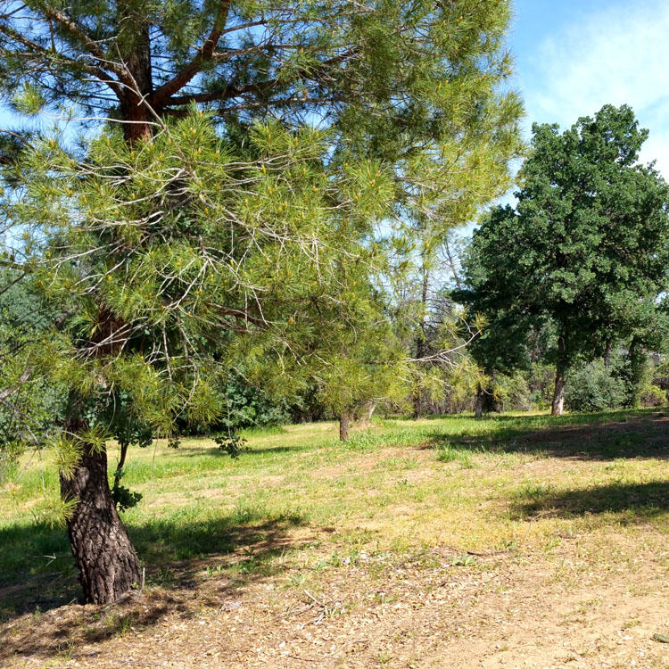 8000 Placer Road Redding, CA 96001 - Photo 7 of 39 Beautiful view of property