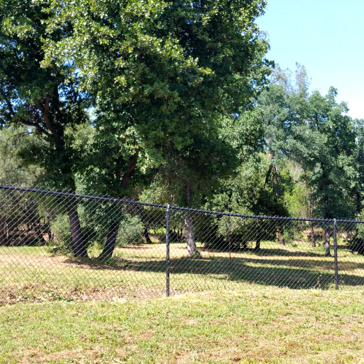 8000 Placer Road Redding, CA 96001 - Photo 8 of 39 Back yard view