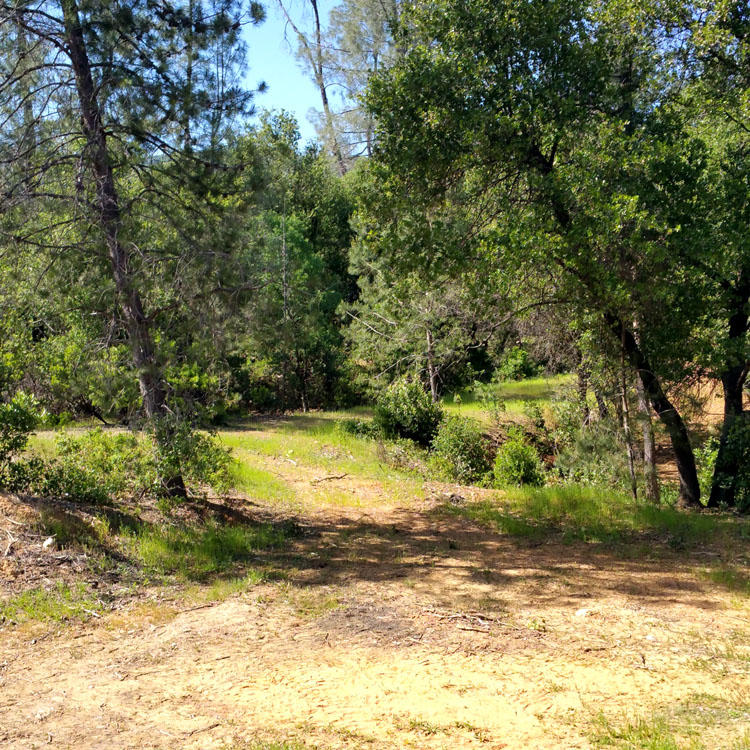 8000 Placer Road Redding, CA 96001 - Photo 9 of 39 One side of property borders BLM land