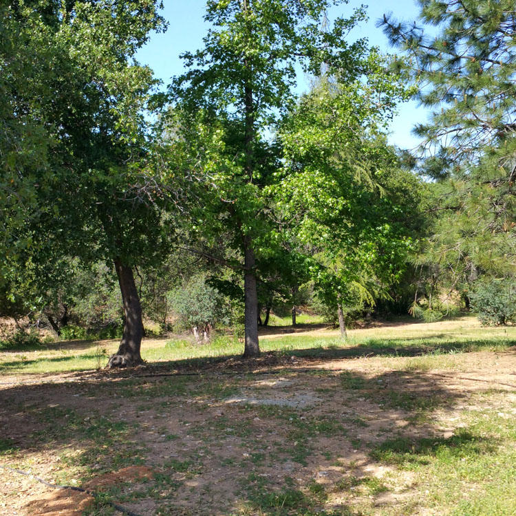 8000 Placer Road Redding, CA 96001 - Photo 10 of 39 Serene privacy beautiful views