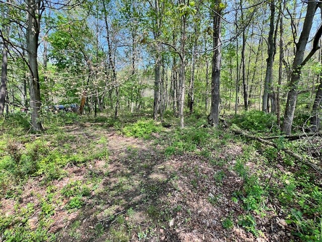 Royal Street Midvale, OH 44653 - Photo 2 of 4 Wooded views