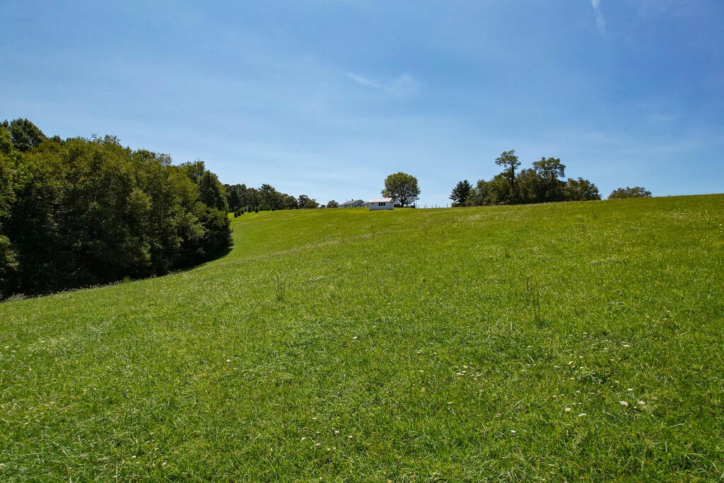 927 Kinzer Road, Unit 31F Hillsville, VA 24343 - Photo 7 of 34 Gallery Image 7