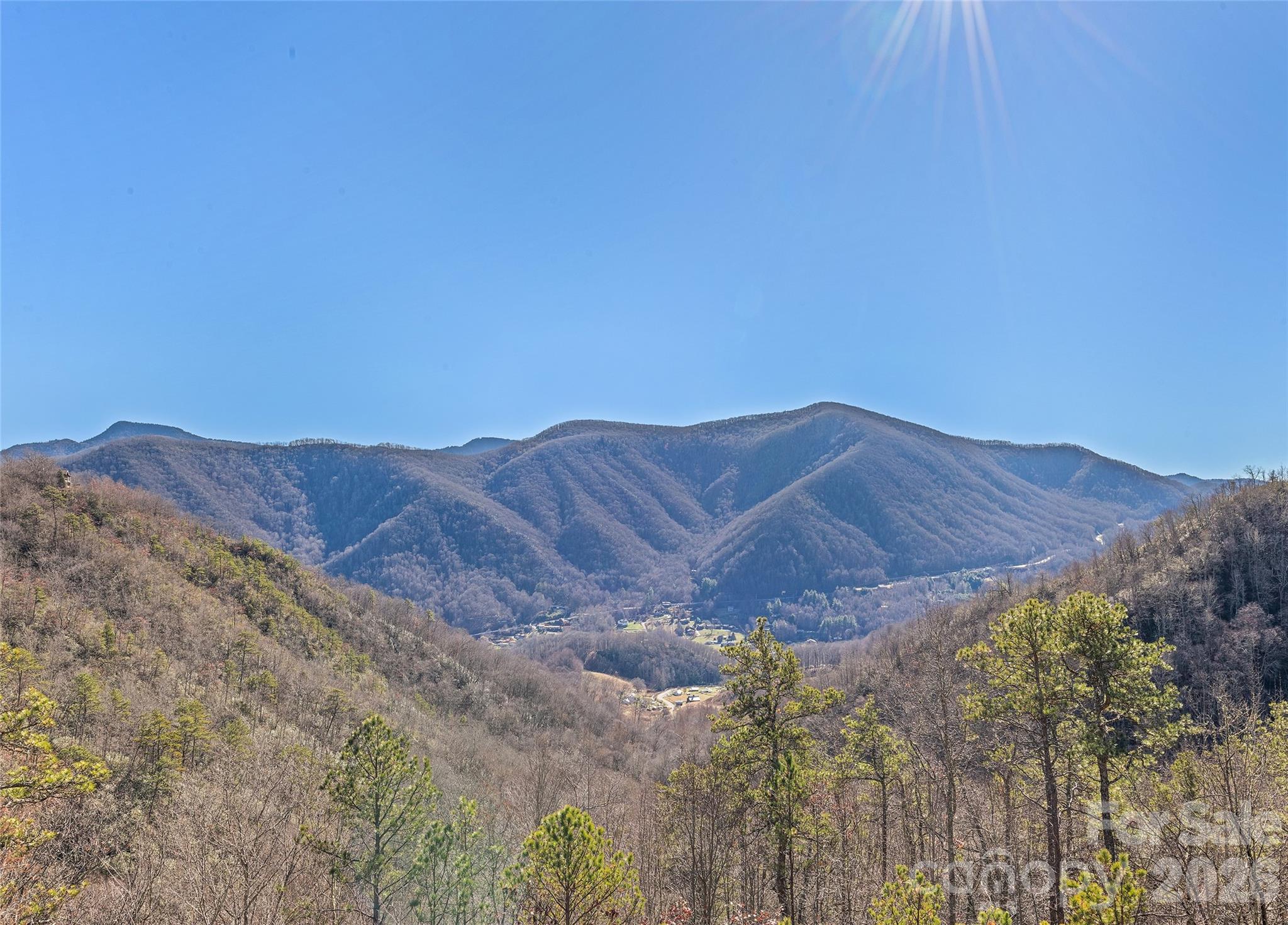 643 Bent Tree Road Maggie Valley, NC 28751 - Photo 3 of 42