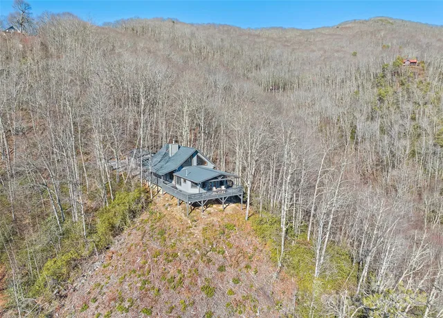 a view of a bunch of trees