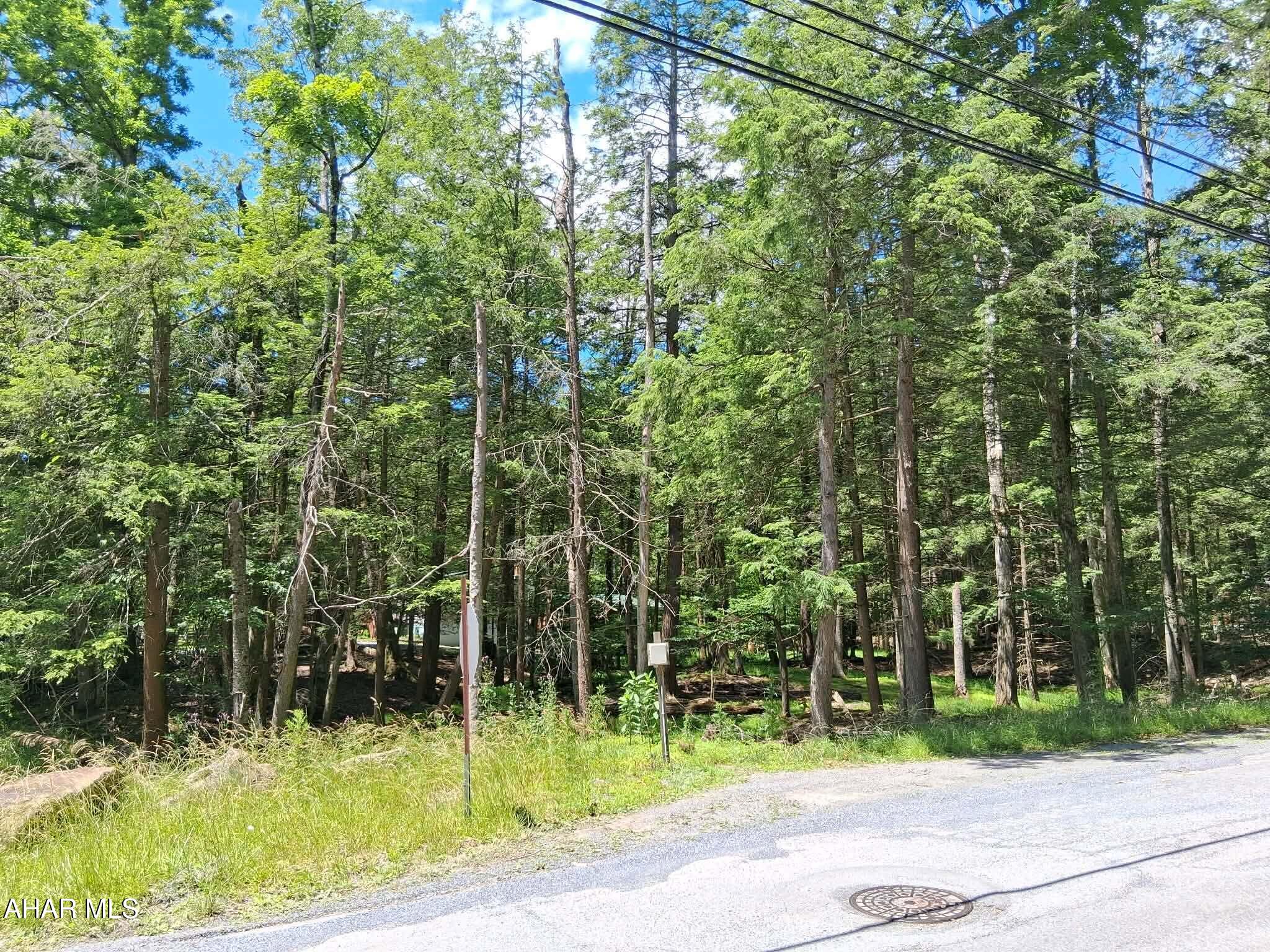 350 Kibler Lake Road Flinton, PA 16640 - Photo 5 of 13