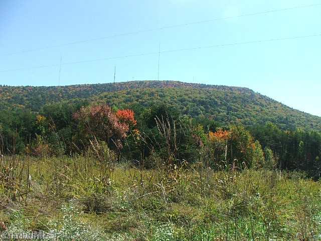 2082 Flat Rock Road, Unit 31 Pinnacle, NC 27043 - Photo 2 of 12 Land. BUILDING SITE VIEW