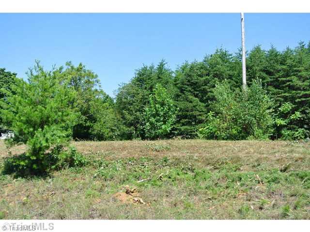2082 Flat Rock Road, Unit 31 Pinnacle, NC 27043 - Photo 11 of 12 Land. SAME TRACT