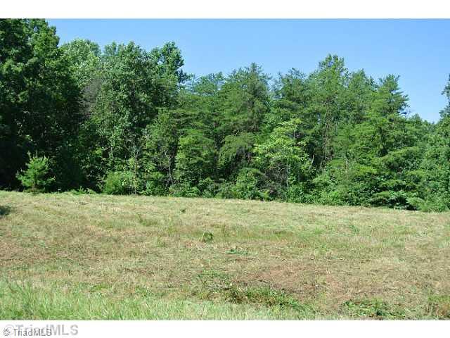2082 Flat Rock Road, Unit 31 Pinnacle, NC 27043 - Photo 12 of 12 Land. SMAE TRACT