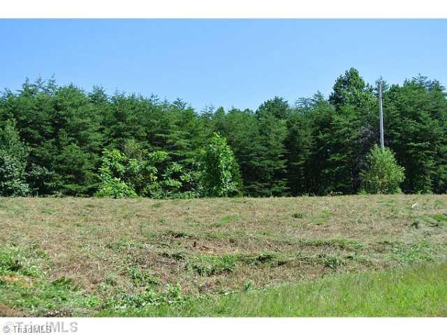 2082 Flat Rock Road, Unit 31 Pinnacle, NC 27043 - Photo 10 of 12 Land. TRACT ON RIGGT SIDE OF PROPERTY