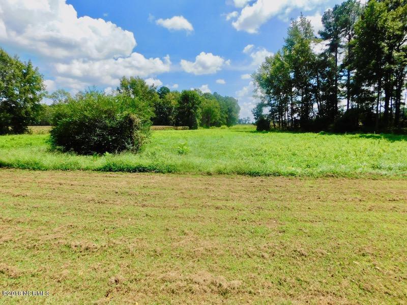 5379 Wiggins Mill Road Lucama, NC 27851 - Photo 13 of 17 13