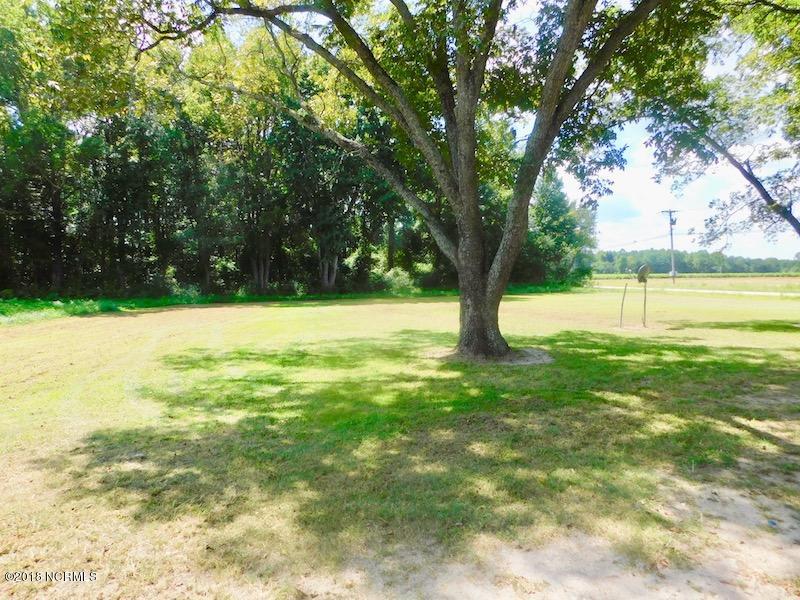 5379 Wiggins Mill Road Lucama, NC 27851 - Photo 15 of 17 15