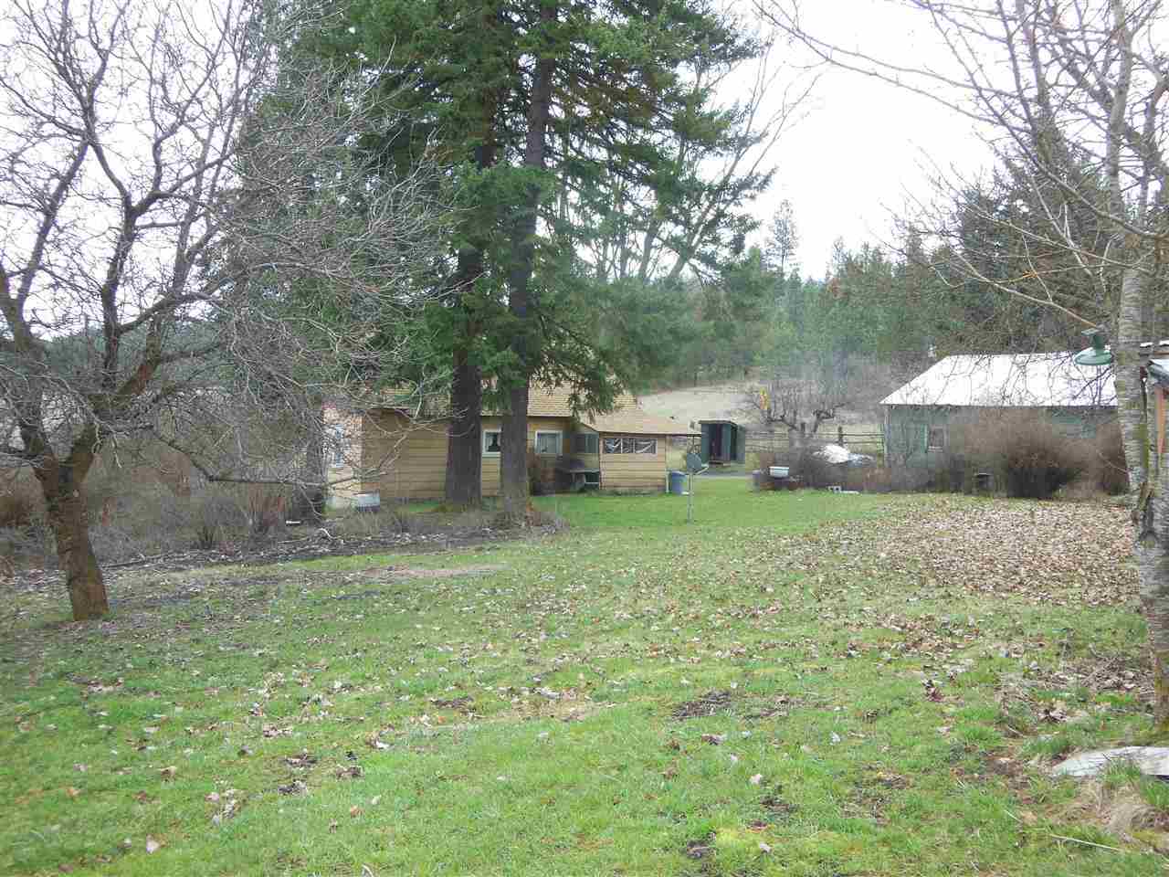 20001 North Dunn Road Colbert, WA 99005 - Photo 19 of 19