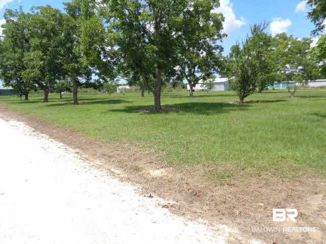28202 Vargo Lane Elberta, AL 36530 - Photo 31 of 45 This portion of the land is located to the West of the home. Has approximately 40 Pecan trees and a few fruit trees.