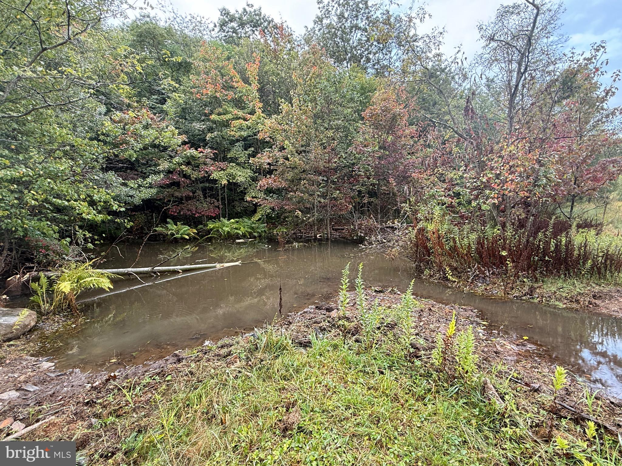 0 Pinnacle Road Keyser, WV 26726 - Photo 10 of 61