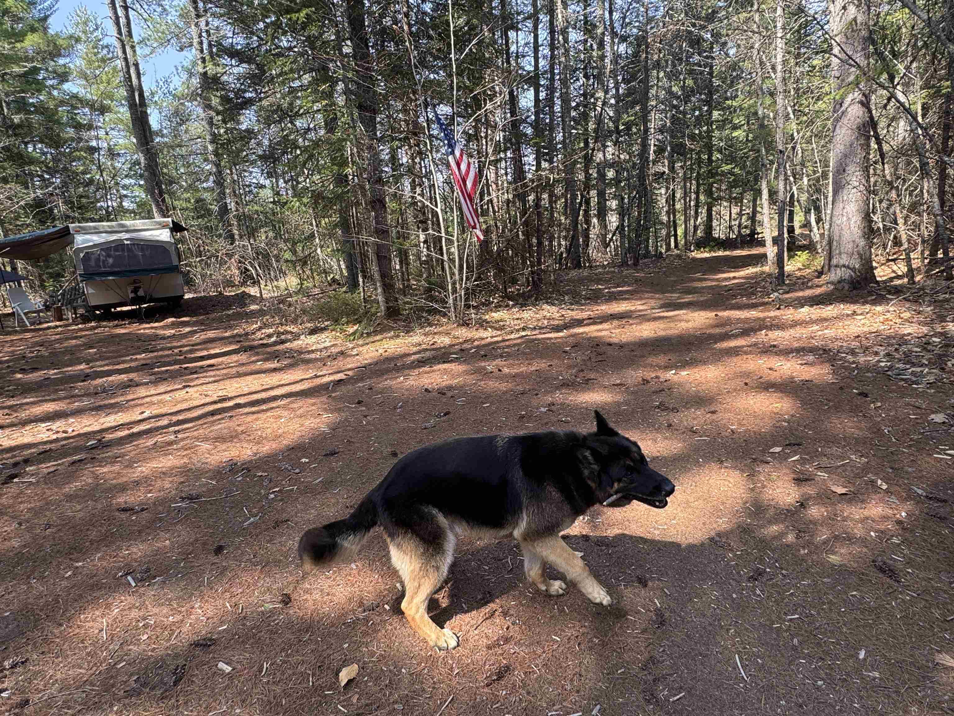 0 Province Lake Road Effingham, NH 03882 - Photo 1 of 45