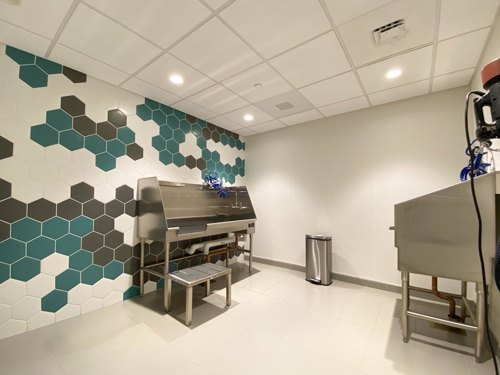 188 Brookline Avenue, Unit PH29A Boston, MA 02215 - Photo 37 of 42 a living room with a couch