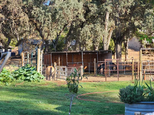 $449,000 | 7505 Baldwin Street, Valley Springs, CA 95252