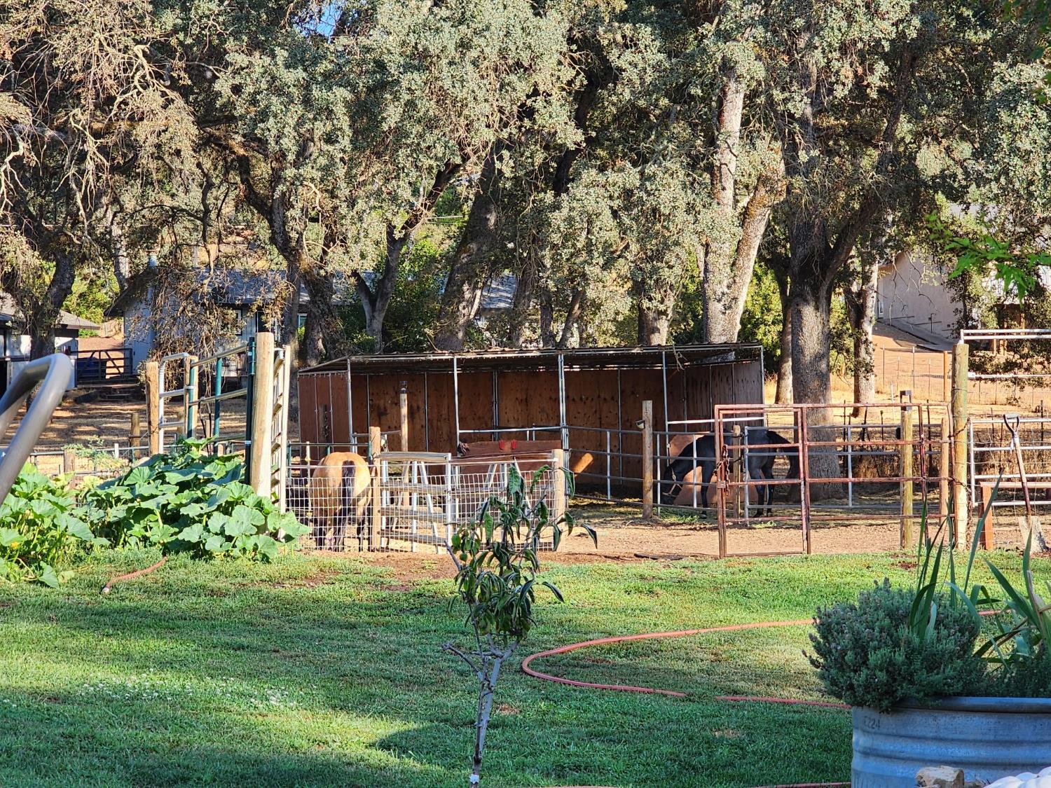 7505 Baldwin Street Valley Springs, CA 95252 - Photo 30 of 45 a house view with outdoor seating space and garden