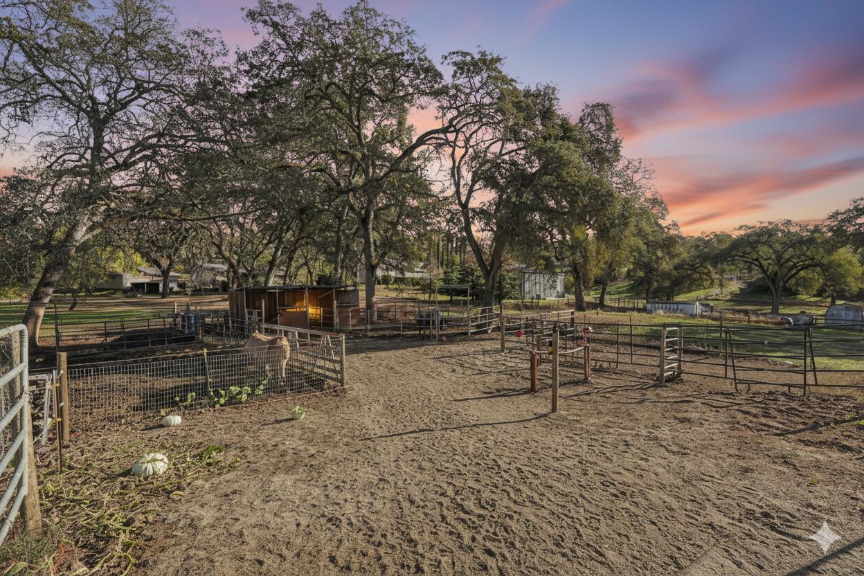 7505 Baldwin Street Valley Springs, CA 95252 - Photo 35 of 45 a view of backyard with outdoor seating and trees