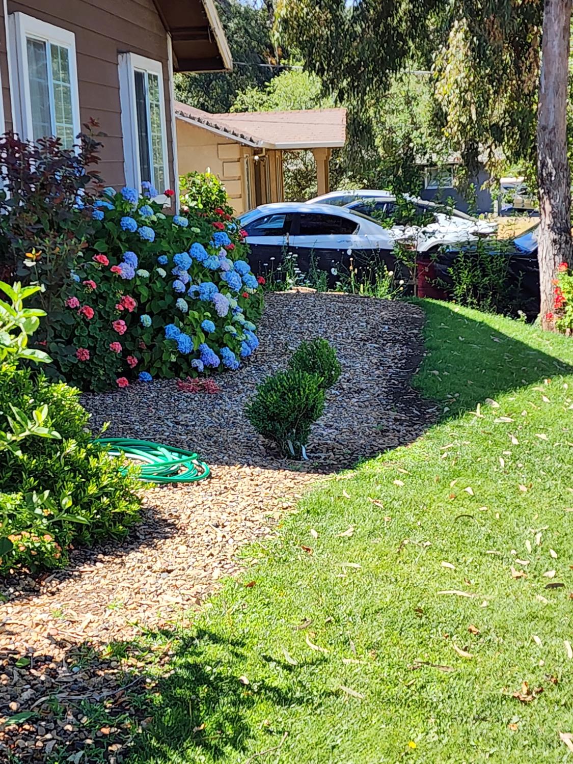 7505 Baldwin Street Valley Springs, CA 95252 - Photo 7 of 45 a view of a house with a garden and pathway