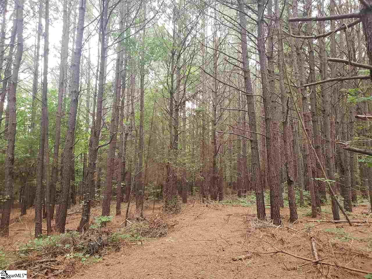 3200 6 And 20 Road Pendleton, SC 29670 - Photo 35 of 36