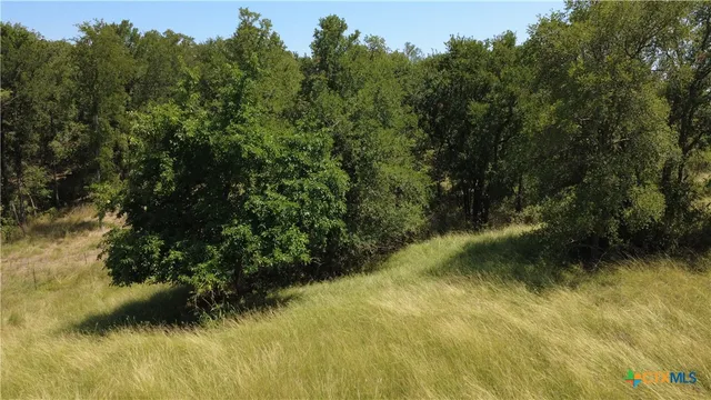 a view of a yard with a tree