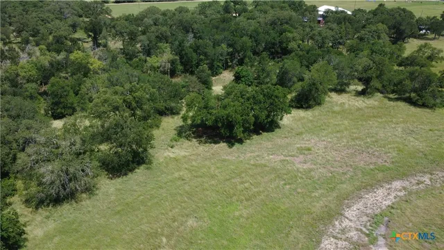 a view of a forest with a street