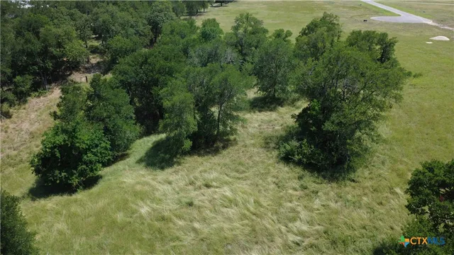 a view of a yard with plants and a bench